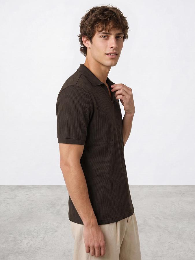 R&B Men Brown Textured Short Sleeves Polo Collar T-Shirt