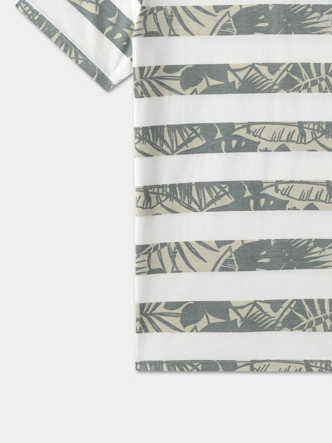 Boys Graphic Print Pure Cotton Regular T Shirt image number 3
