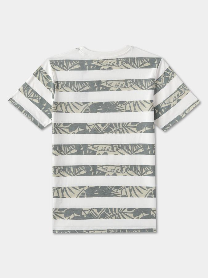 Boys Graphic Print Pure Cotton Regular T Shirt image number 1