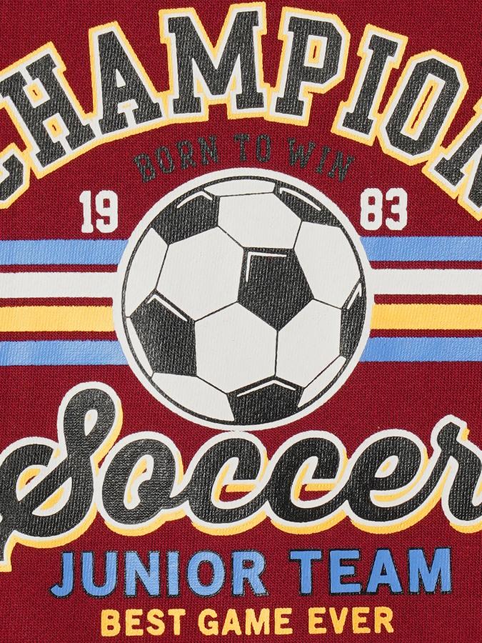 Boys Cotton Regular Fit Crew Neck Graphic Sweatshirt