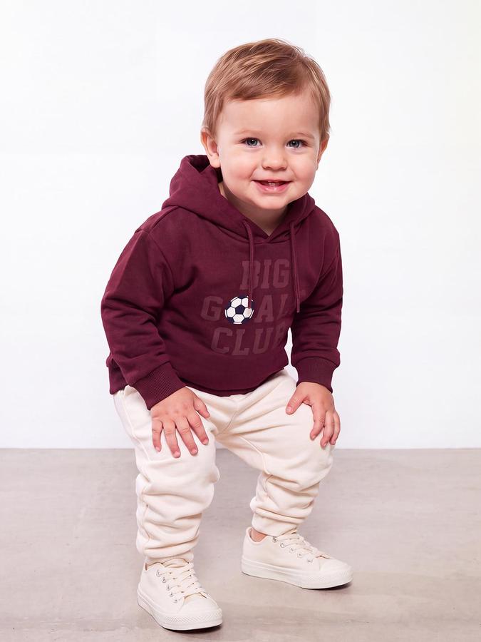 R&B Boys Maroon Graphic Print Hooded Long Sleeves Sweatshirt