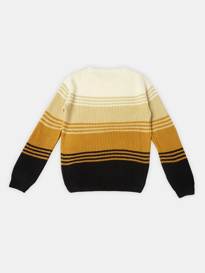 R&B Boys' Brown Colourblocked Sweater