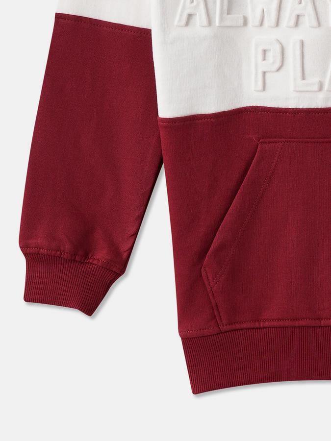 Boys Relaxed Fit Full Sleeve Hooded SweaT-Shirt