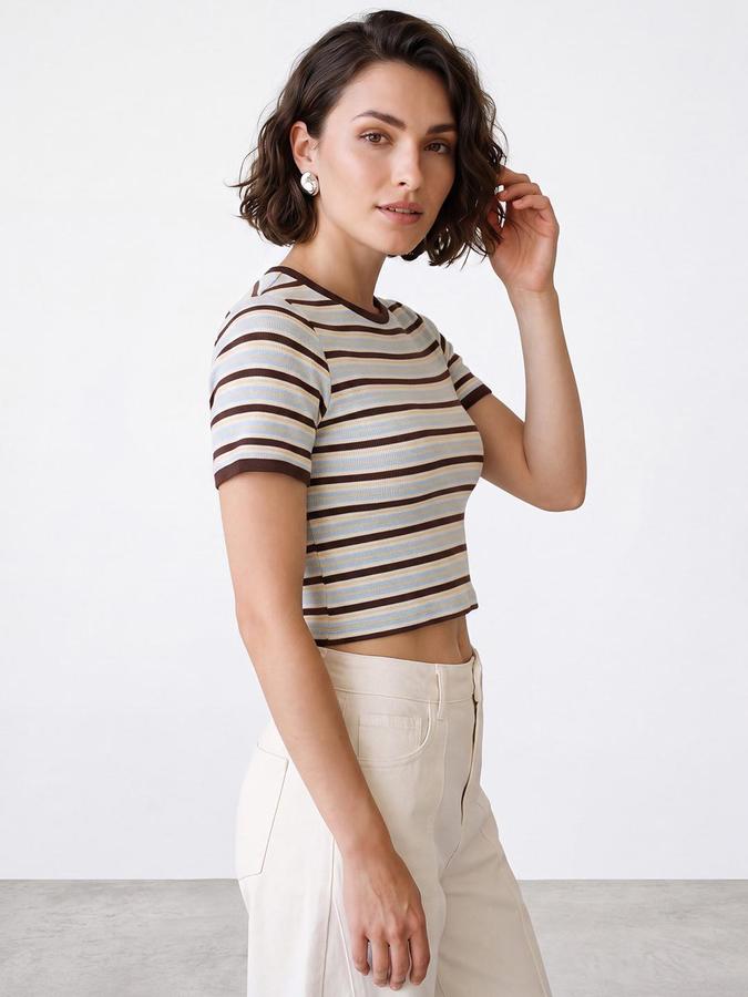R&B Womens Brown Round Neck Short Sleeves Striped Crop Top
