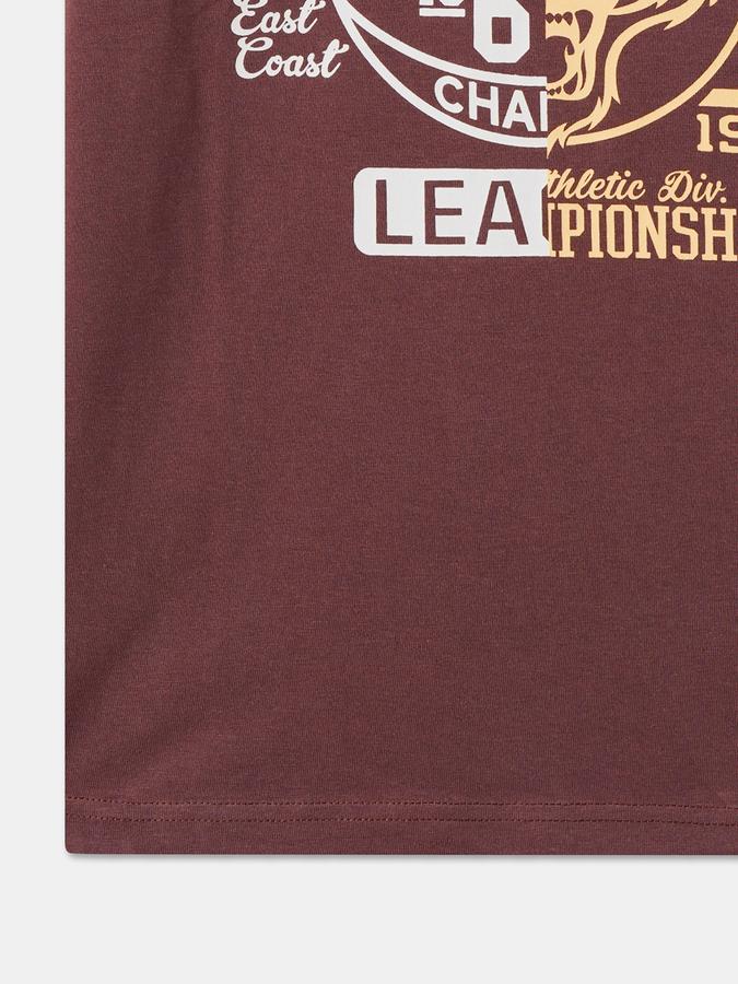 Boys Graphic Print Pure Cotton Regular T Shirt image number 3