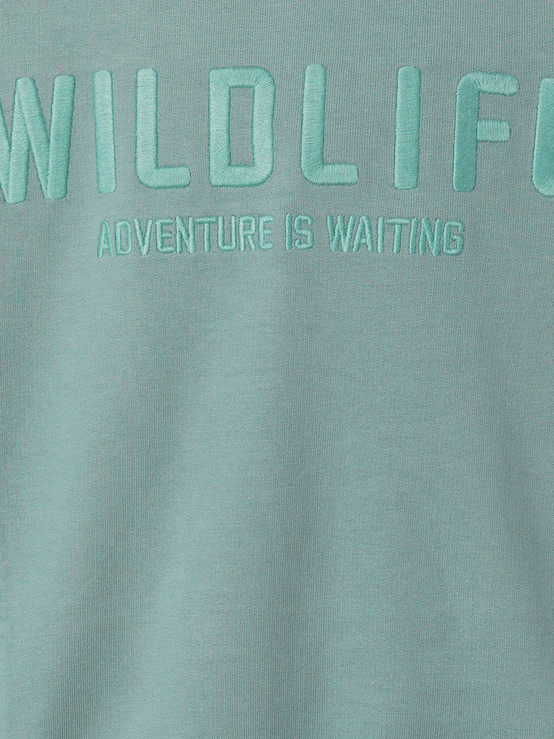 Boys Typographic Print Crew-Neck Sweatshirt image number 4