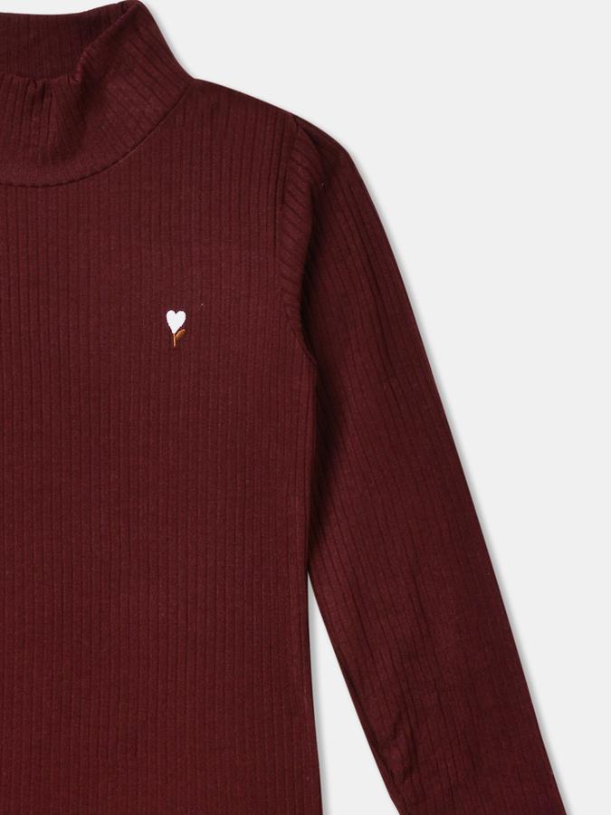 Girls Ribbed Regular Fit Long Sleeve Turtleneck Top