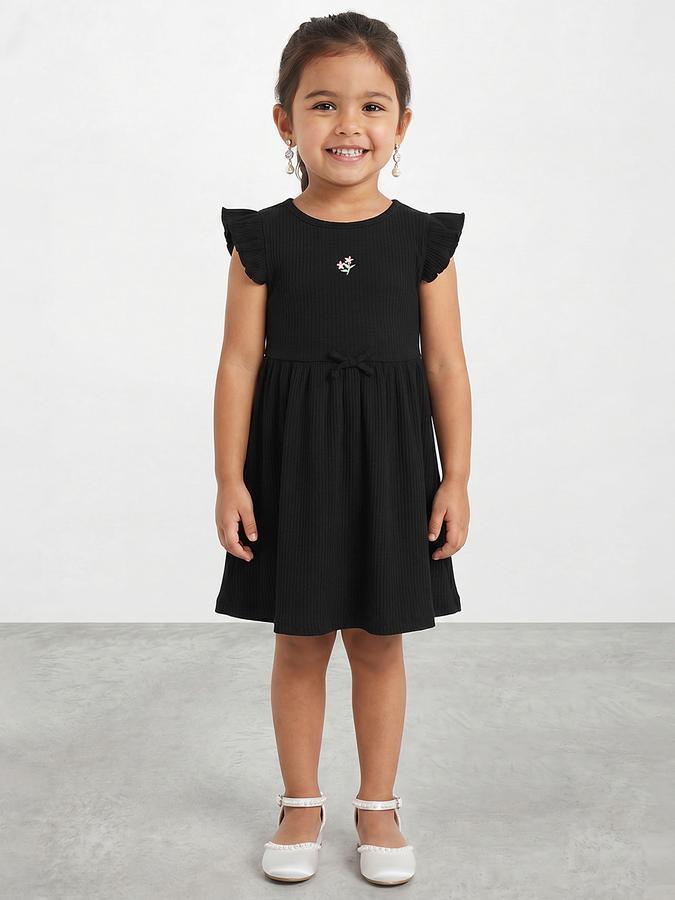 R&B Girl Black Floral Embroidery Flutter Sleeves Fit and Flare Dress