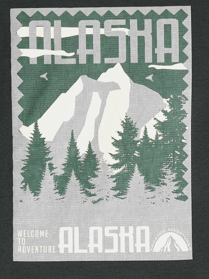 Boys Cotton Blend Relaxed Fit Crew Neck Graphic Sweatshirt