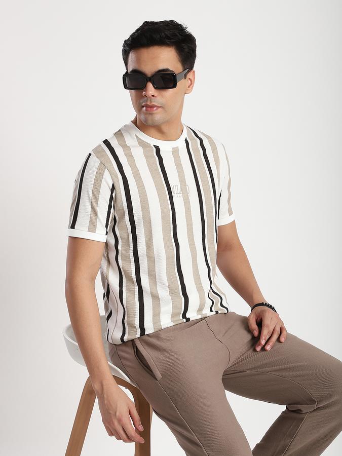 Men Cotton Regular Fit Crew Neck Striped T-shirt