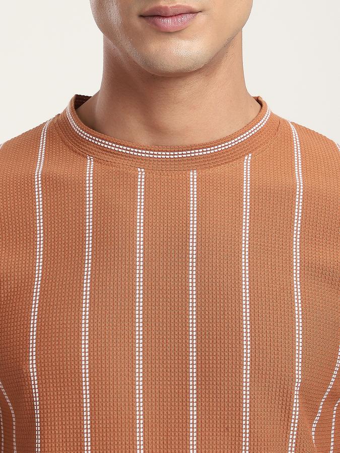 Men Cotton Regular Fit Crew Neck Striped T-shirt
