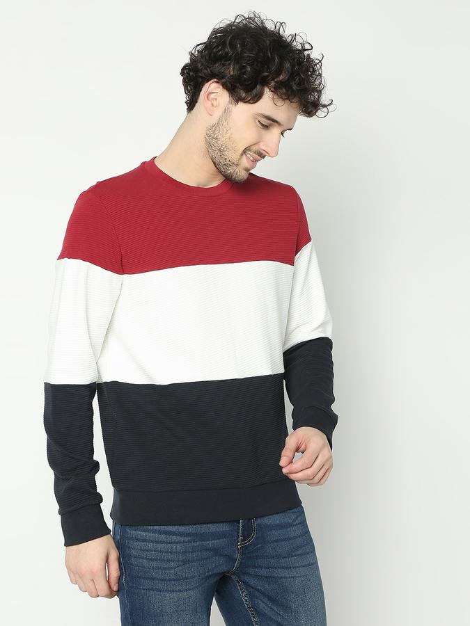 Men Cotton Regular Fit Crew Neck Colour Block Sweatshirt