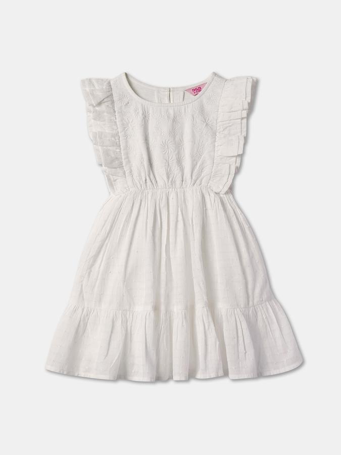 Embroidered Ruffled A-Line Dress image number 0
