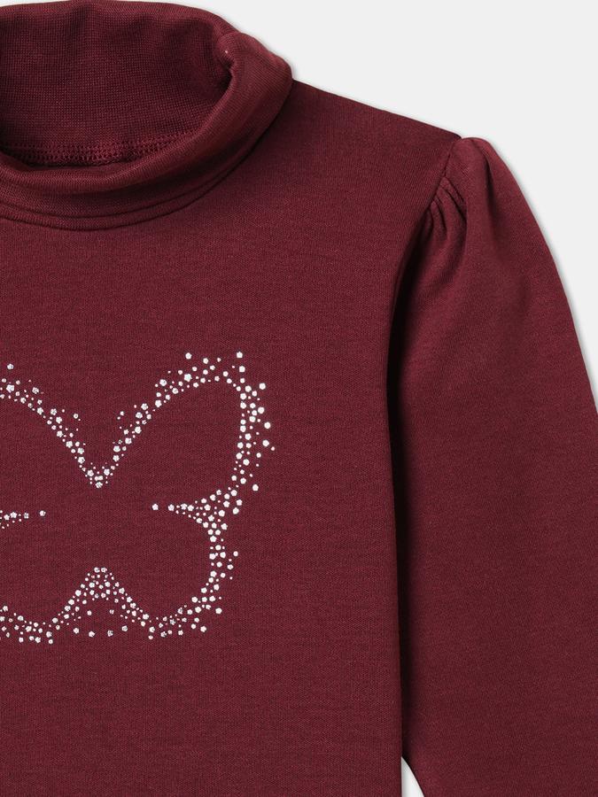 Girls Regular Fit Long Sleeve Turtleneck Top