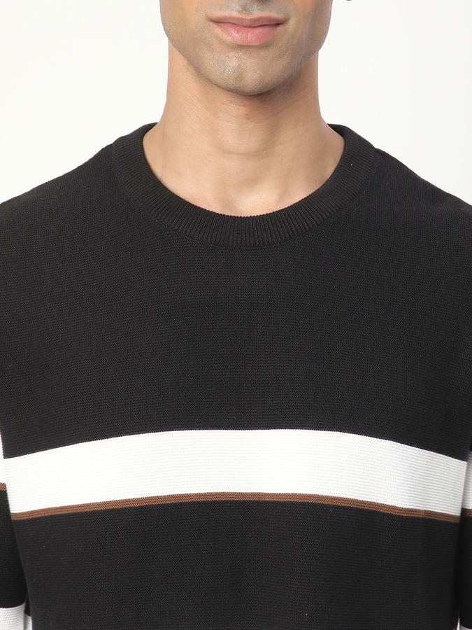 Men Cotton Regular Fit Crew Neck Striped Sweater