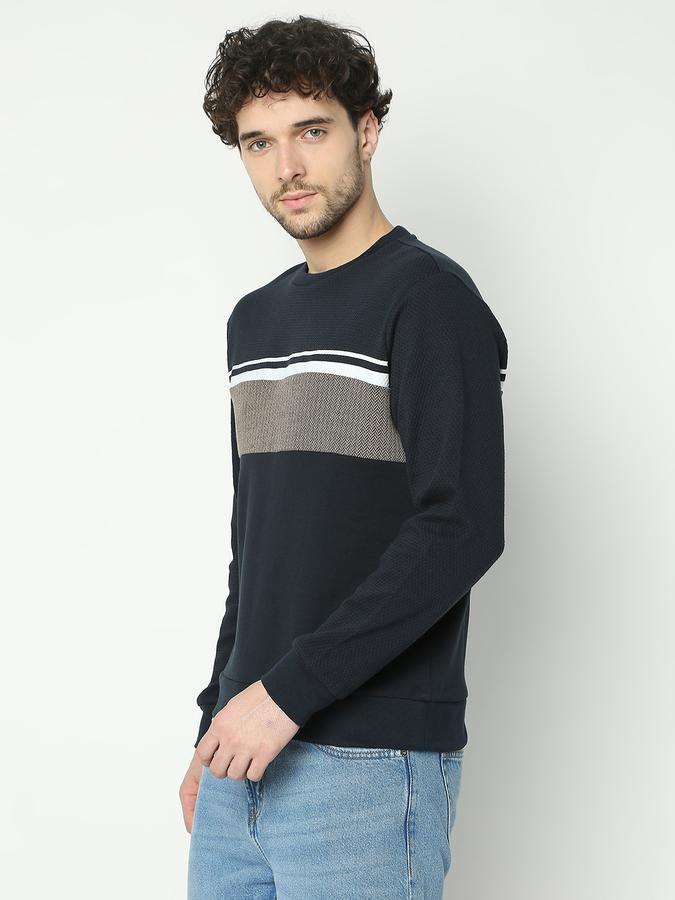 Men Cotton Regular Fit Crew Neck Textured Sweatshirt