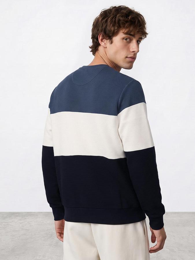 R&B Men Multi Colourblocked Round Neck Long Sleeves Sweatshirt