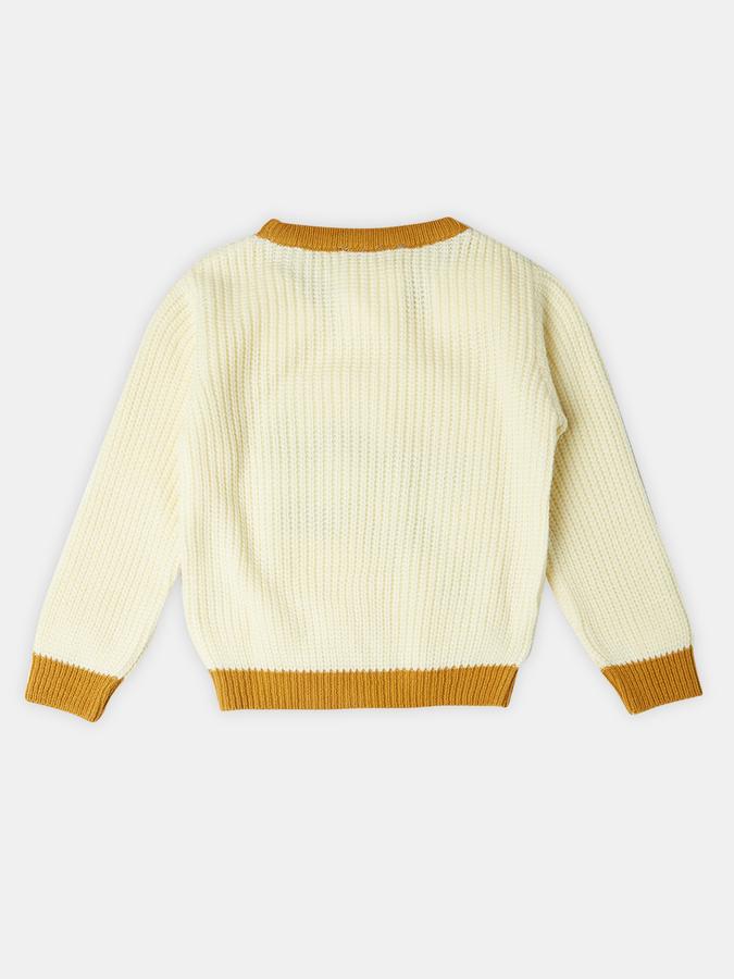 R&B Boys' Beige Printed Sweater