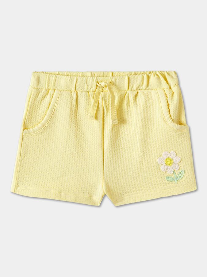 Girls Solid Ruffled Sleeve Knit Top with Shorts Set