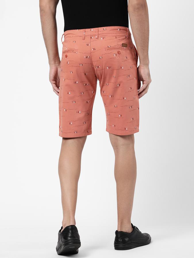 R&B Men's Shorts image number 2