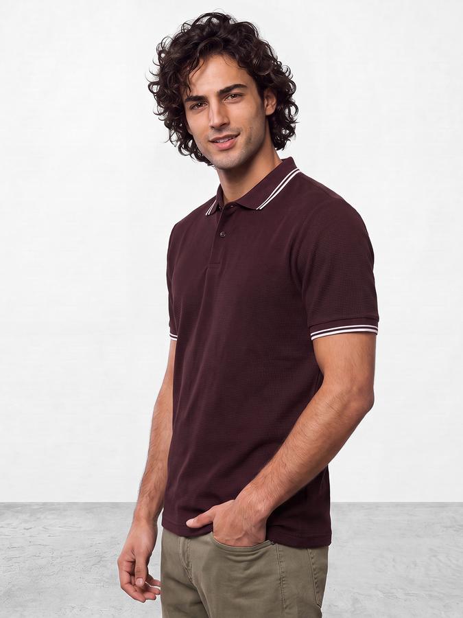 R&B Men Plum Burgundy Textured Short Sleeves Tipping Polo Collar Tshirt
