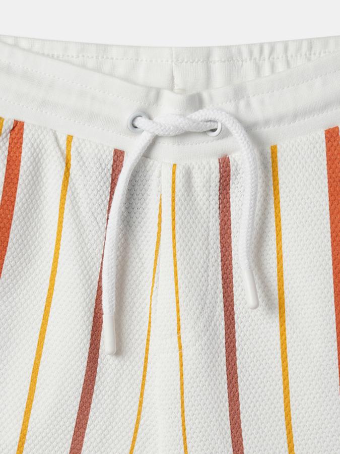Boys Striped Regular Fit Shorts image number 3