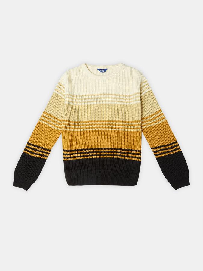 R&B Boys' Brown Colourblocked Sweater