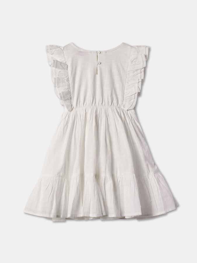 Embroidered Ruffled A-Line Dress image number 1