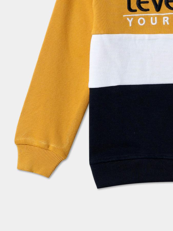 Boys Relaxed Fit Full Sleeve Crew Neck SweaT-Shirt