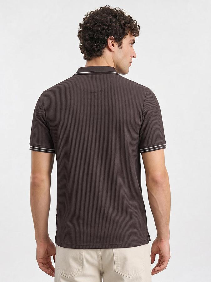 R&B Men Brown Ribbed Short Sleeves Polo Tshirt