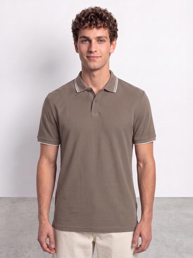 R&B Men Olive Textured Short Sleeves Polo Collar T-Shirt