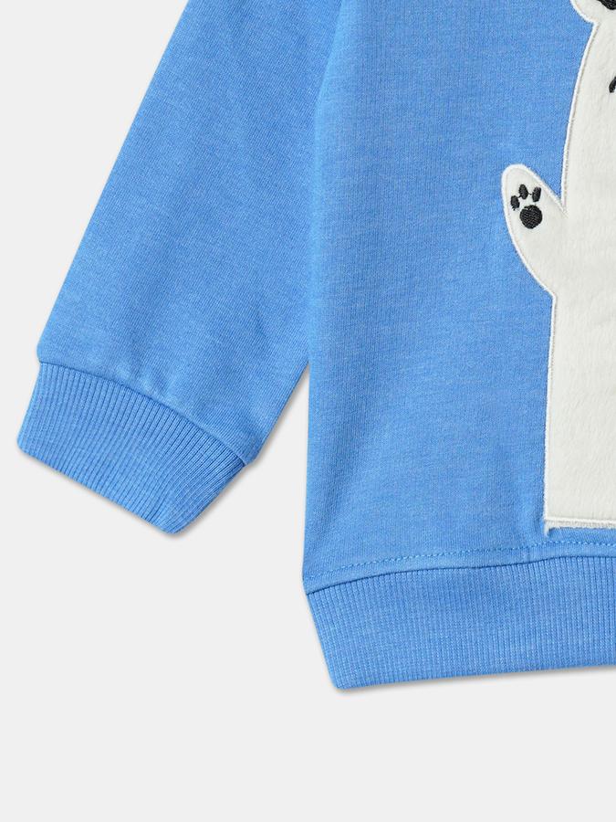 Boys Cotton Regular Fit Crew Neck Applique Sweatshirt