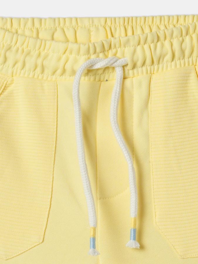 Boys Graphic Print Regular Fit Flat-Front Shorts image number 3