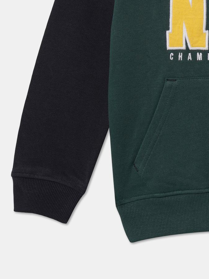 Full Sleeve Embellished Boys Sweatshirt image number 3