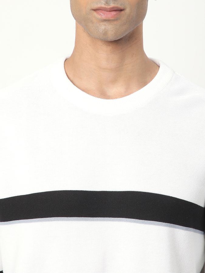 Men Cotton Regular Fit Crew Neck Striped Sweater