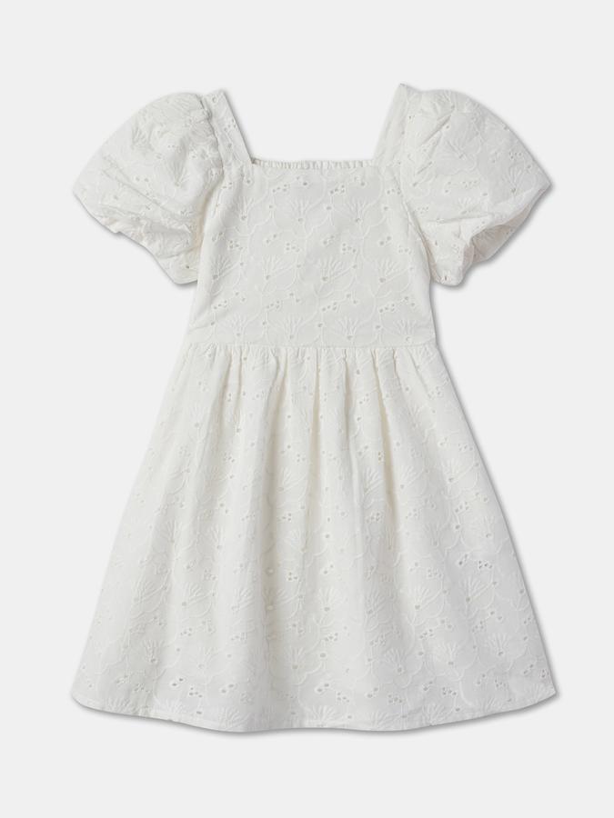 Schiffli Embroidered A-Line Dress image number 1