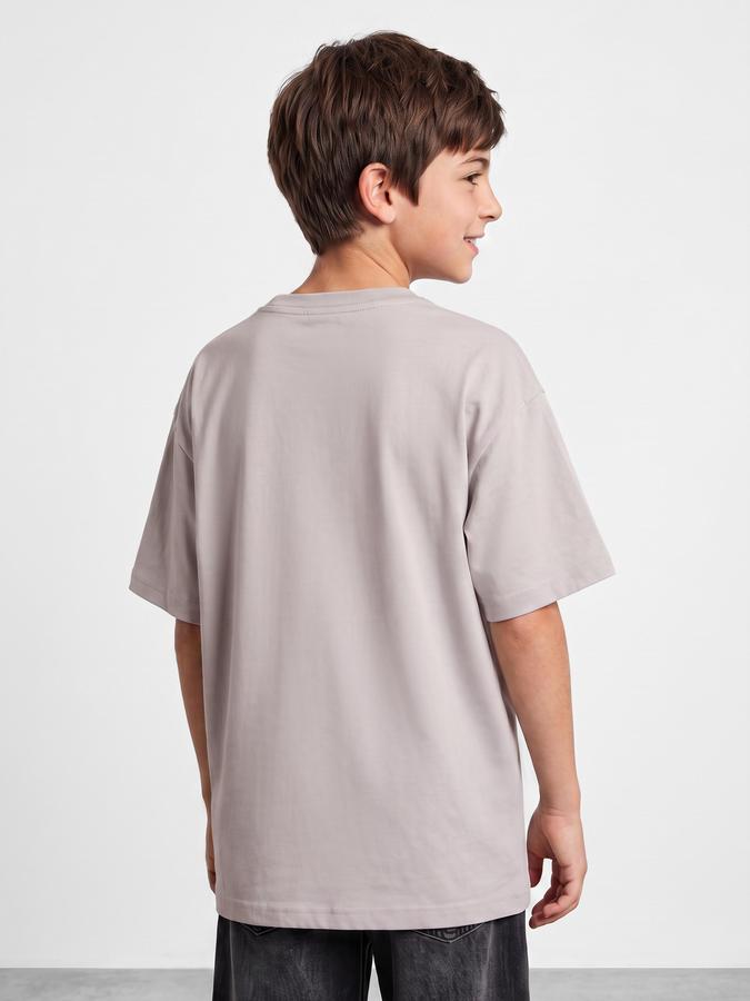 R&B Boys Grey Graphic Print Short Sleeves Round Neck Pure Cotton T-Shirt