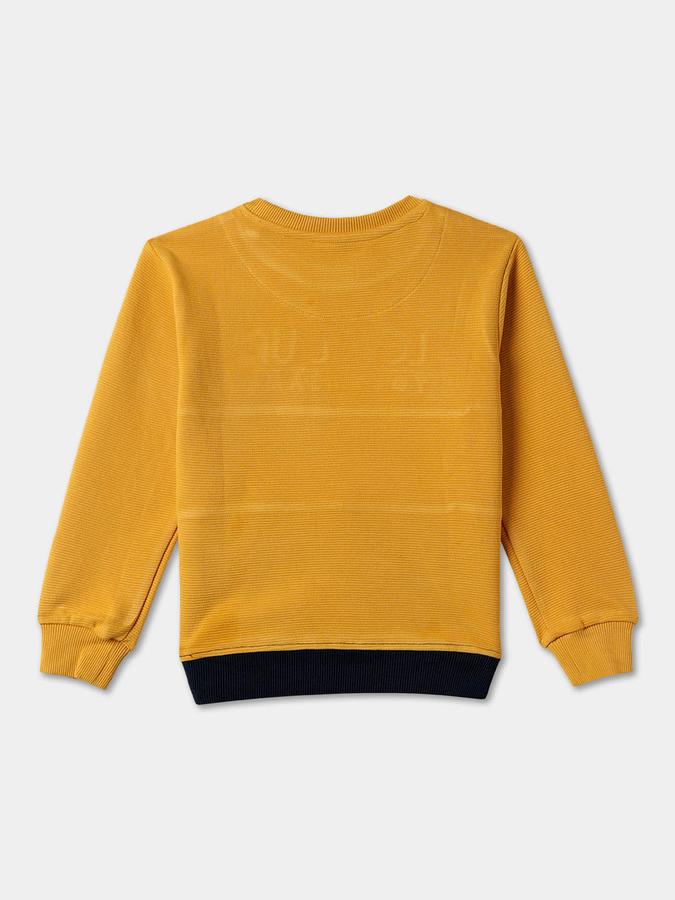 Boys Relaxed Fit Full Sleeve Crew Neck SweaT-Shirt