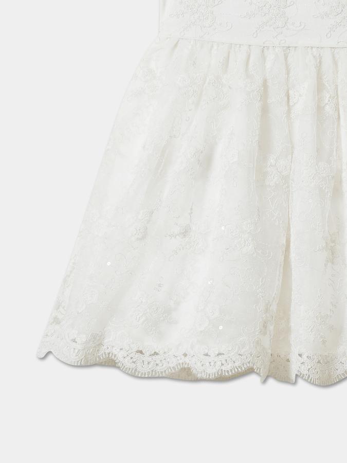 Girls Lace Ruffled Round Neck Fit and Flare Dress
