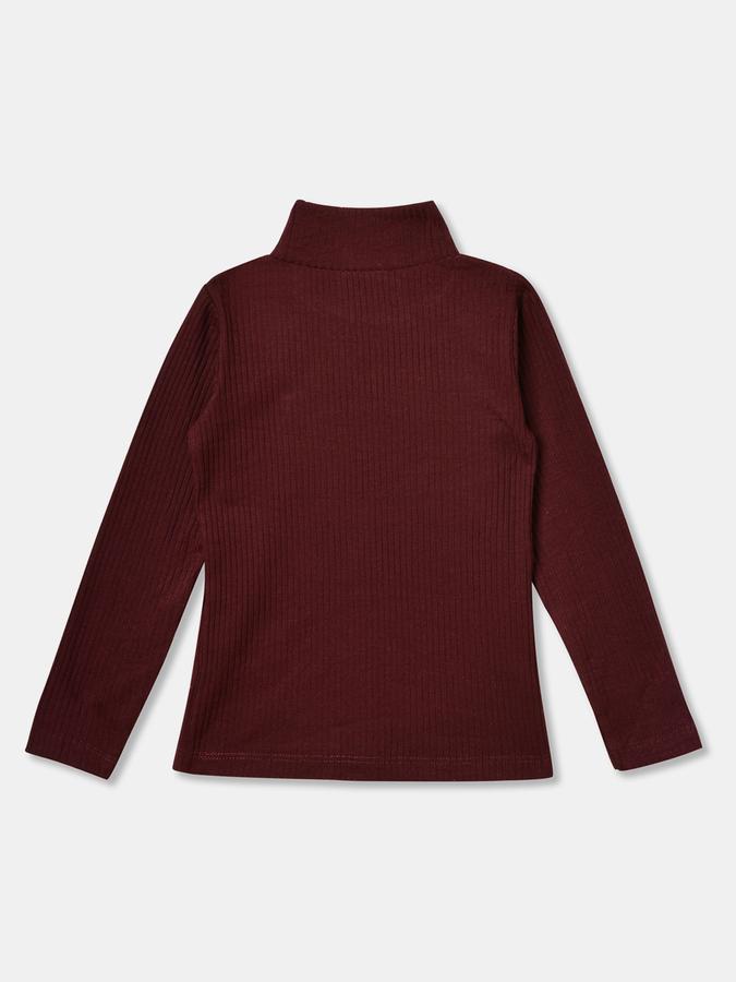 Girls Ribbed Regular Fit Long Sleeve Turtleneck Top