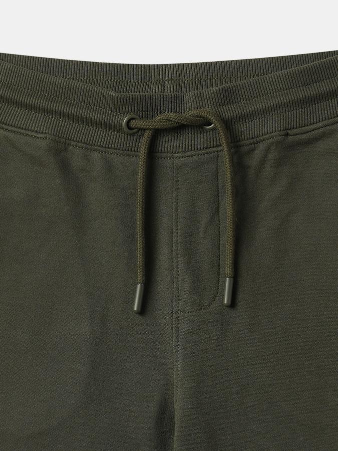 Boys Graphic Print Regular Fit Shorts with Insert Pockets image number 3