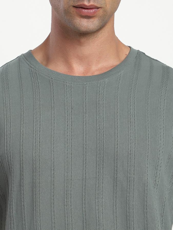 Men Cotton Regular Fit Crew Neck Textured T-shirt