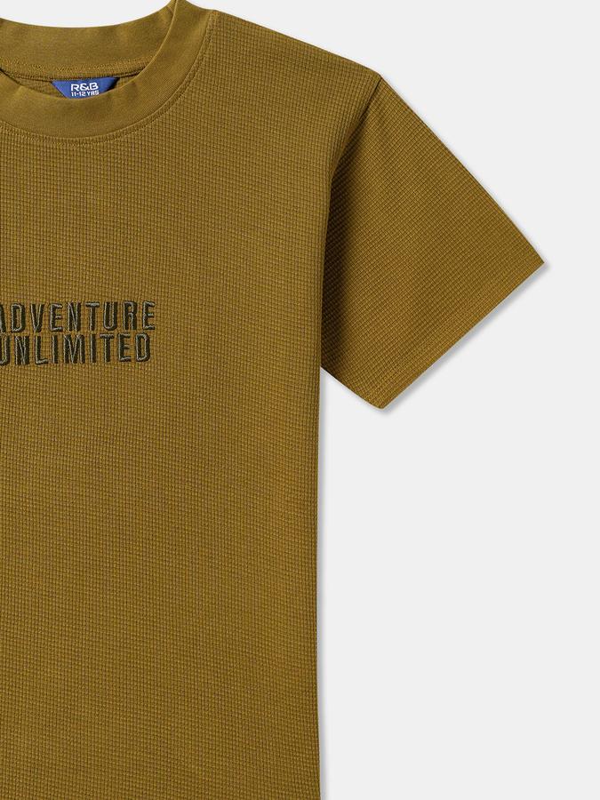 Boys Cotton Regular Fit Crew Neck Solid T-shirt