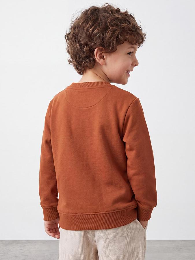 R&B Boys Light Brown Bold Graphic Round Neck Long Sleeves Regular Fit Sweatshirt