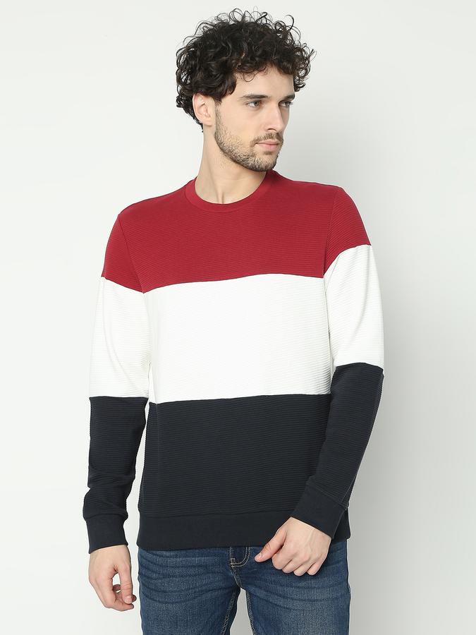 Men Cotton Regular Fit Crew Neck Colour Block Sweatshirt
