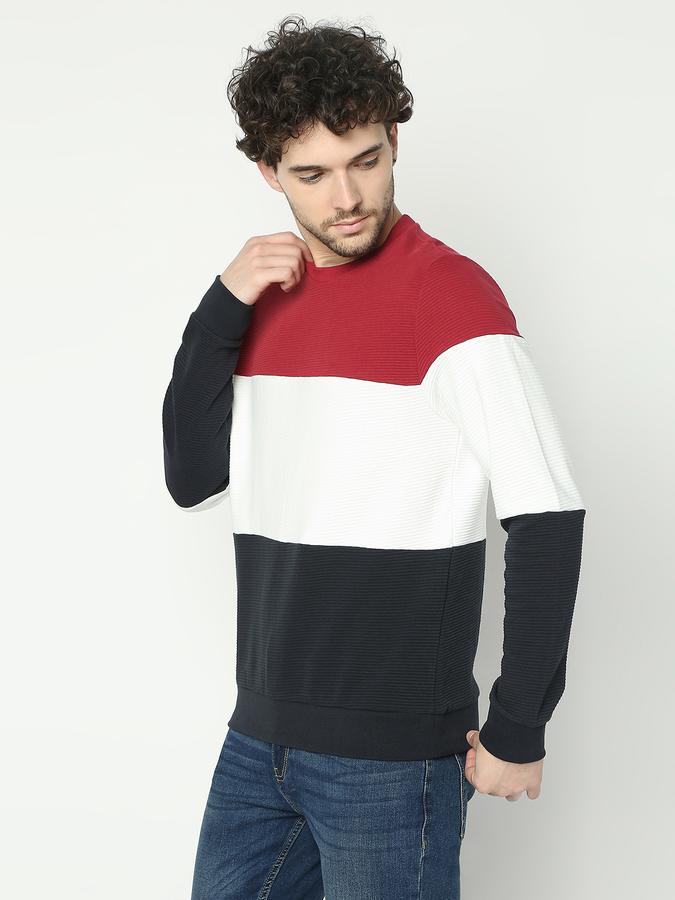 Men Cotton Regular Fit Crew Neck Colour Block Sweatshirt