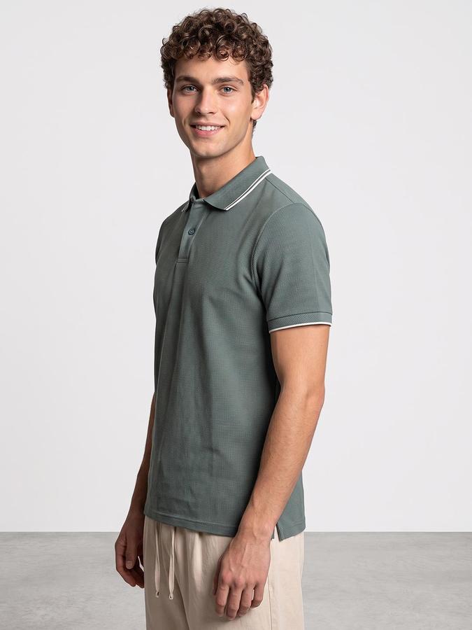 R&B Men Pine Green Textured Short Sleeves Polo Collar T-Shirt