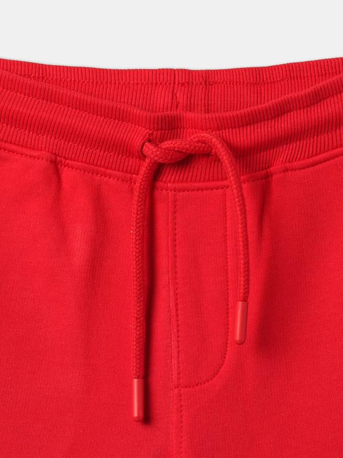 Boys Regular Fit Flat-Front Shorts image number 3