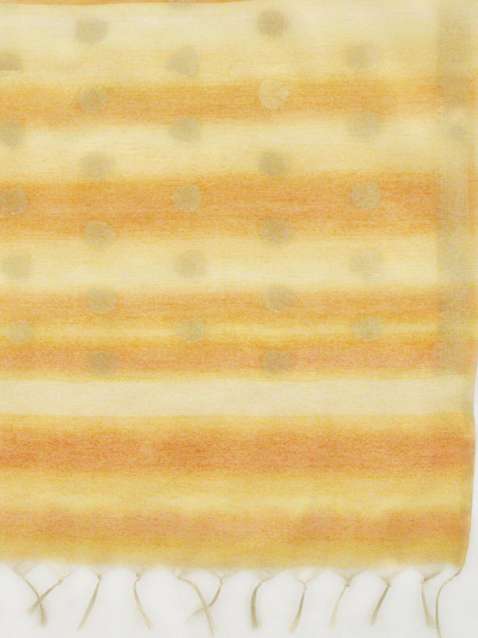 R&B Women Mustard Dupattas image number 3