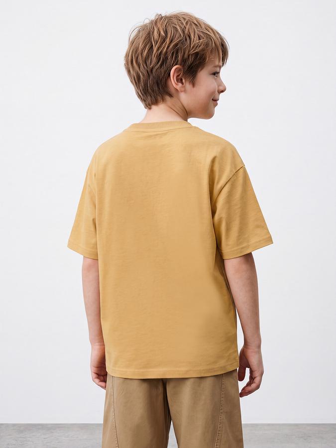 R&B Boys Mustard 3D Graphic Print Drop-Shoulder Sleeves Tshirt